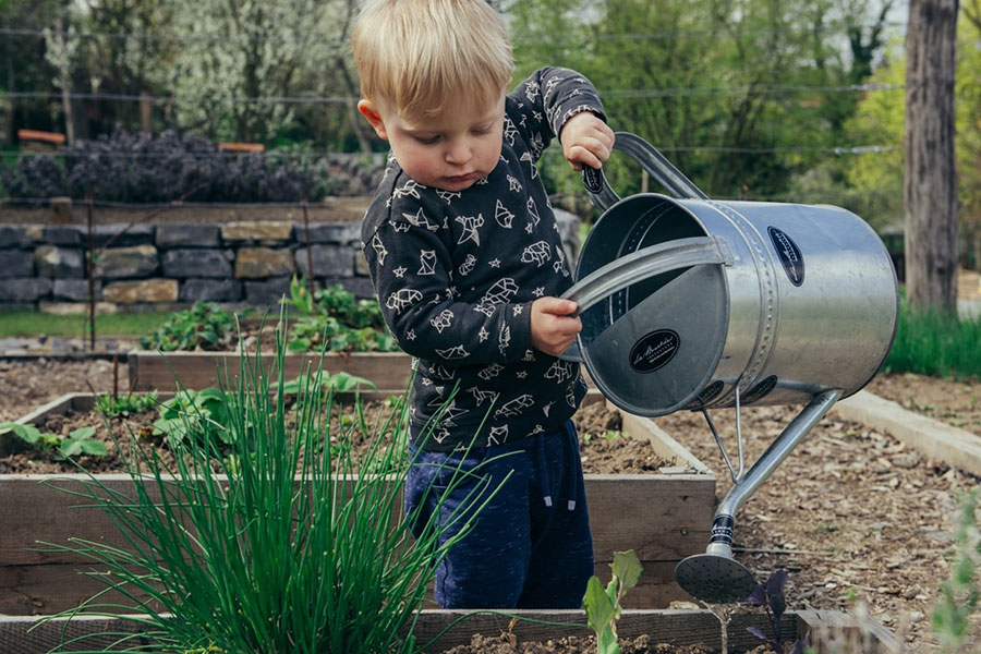Barn som vattnar växter